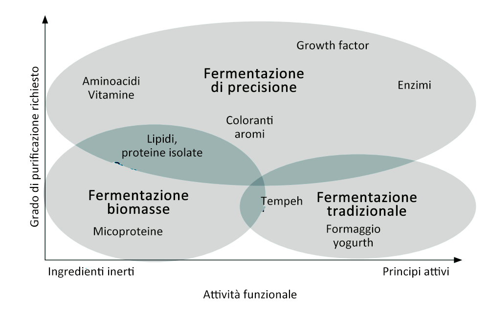 Fermentazione di precisione