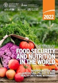 The State of Food Security and Nutrition in the World 2022