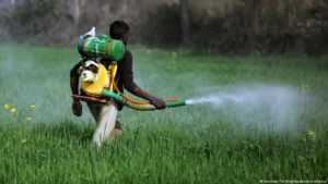 Che cosa sono i biopesticidi?