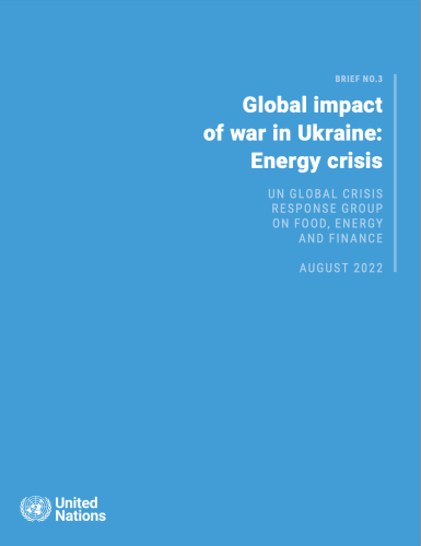 Onu-Global impact of war in Ukraine: Energy Crisis