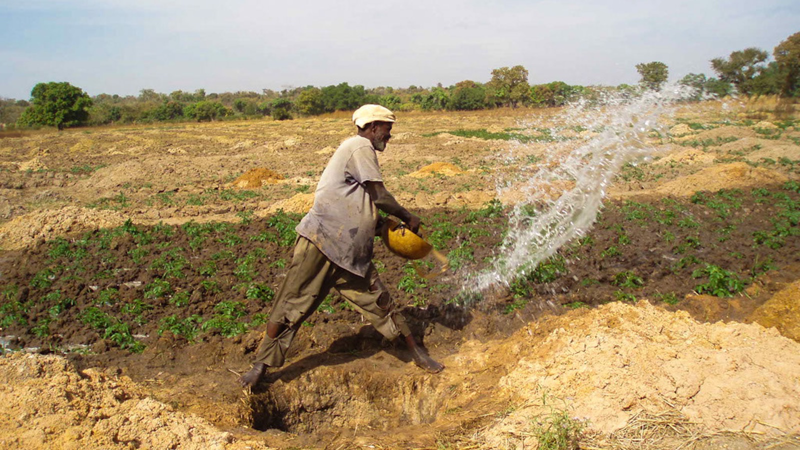 Irrigazione intelligente sensibile alla nutrizione in Mali