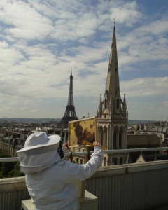 Apicoltura sul tessto dell'Opera di Parigi